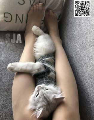 韩剧电影在线看观看免费_剧情片视频大全