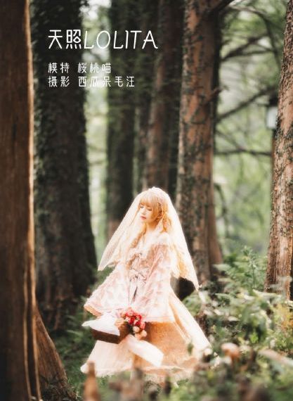 旋风少女第二季免费观看在线播放_剧情片日韩电影在线