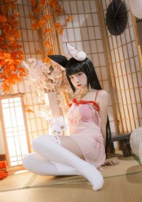 老董大战戴若希_剧情片动漫免费观看